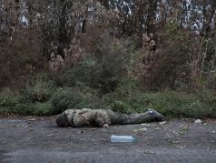 Тело российского солдата на дороге в Изюм. Фото: Laurent Van der Stockt / Le Monde / Getty Images